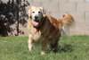Bailey
