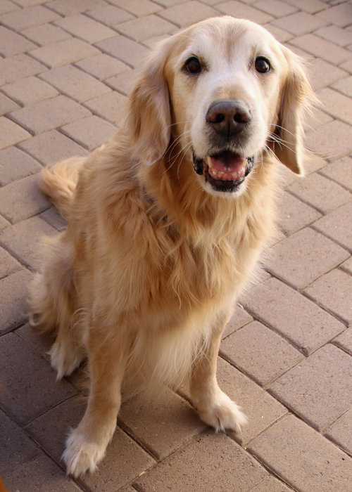 Jackson