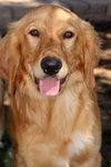 Duke