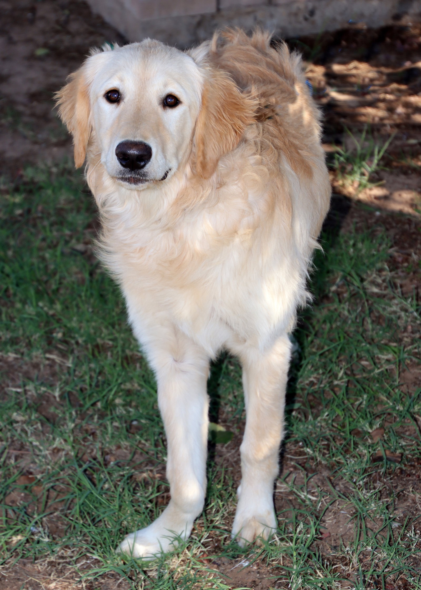 Delilah