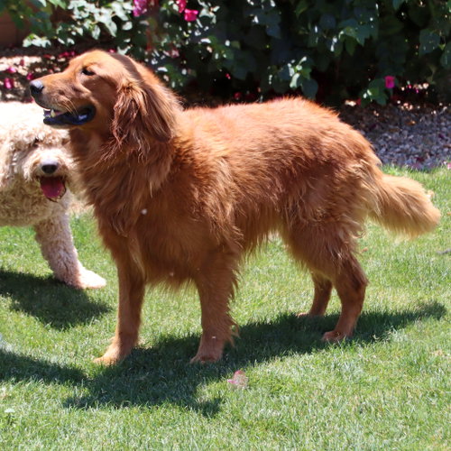 Poe photo 2
