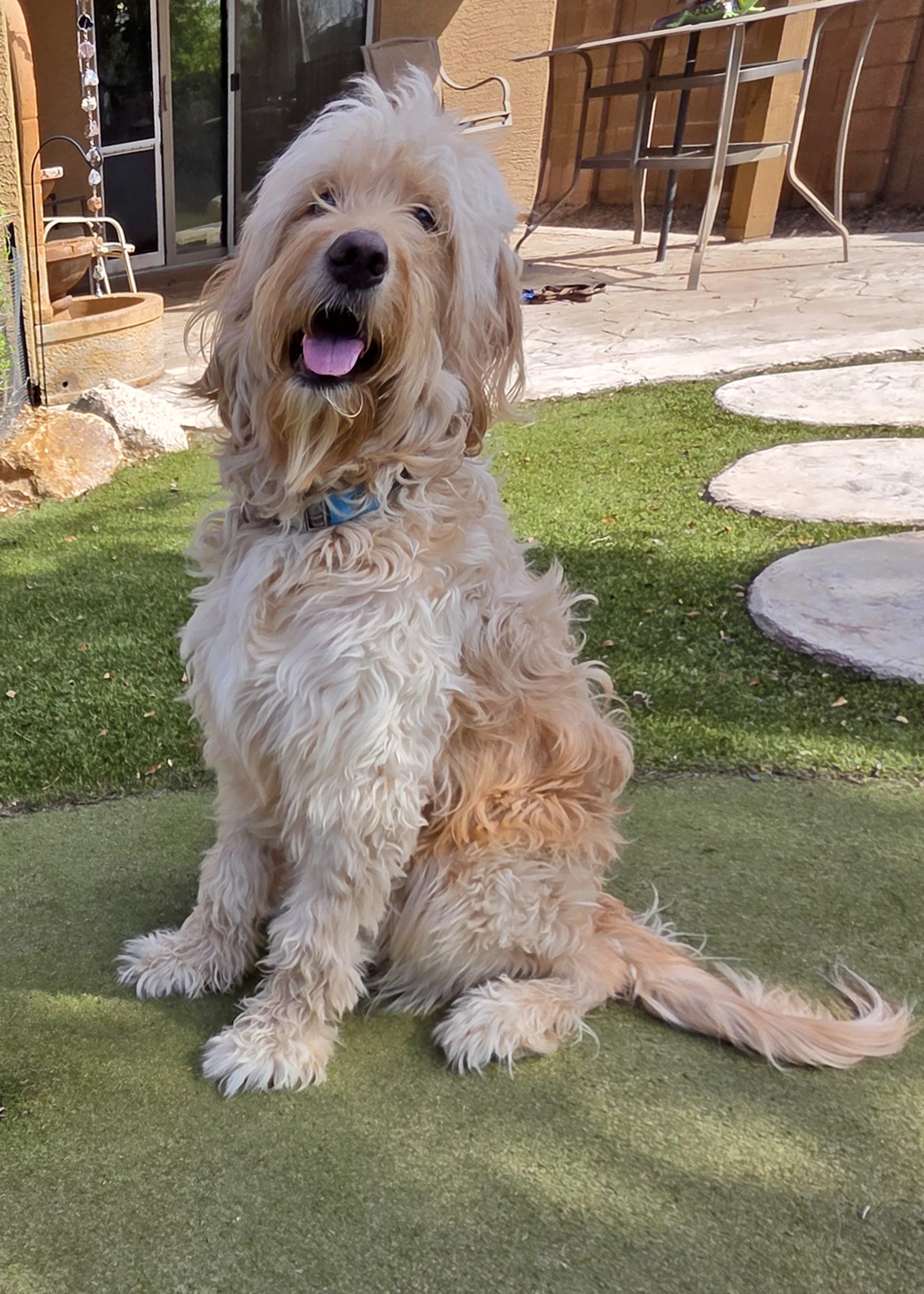 Barkley