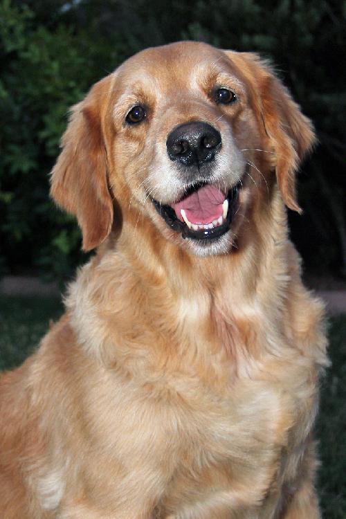 Murphy