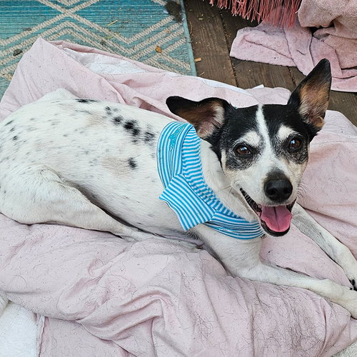 Jax (WA), photo 5