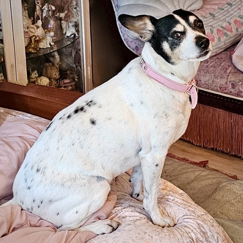 Jax (WA), photo 3
