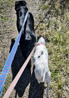 Jax (WA) - Photo 4