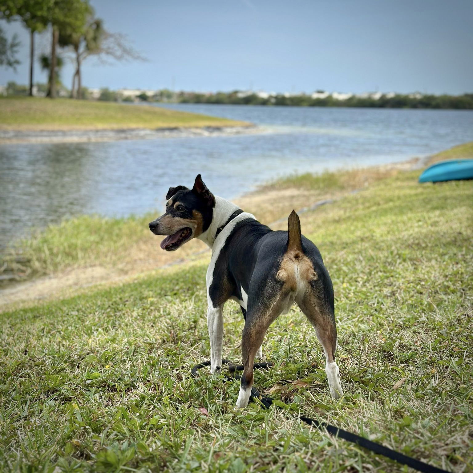 Bilbo (FL)