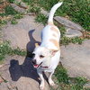 Courage (VA) - Photo 1