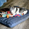 Molleigh (WI) - Photo 2