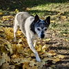 Molleigh (WI) - Photo 3