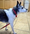 Molleigh (WI) - Photo 4