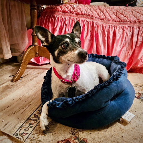 Sybil (OR) photo 3