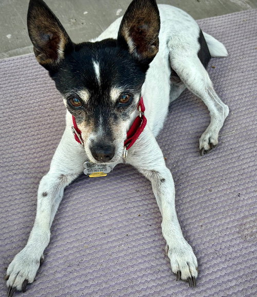 Sybil (OR), photo 2
