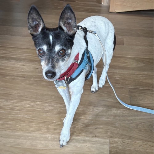 Sybil (OR), photo 3