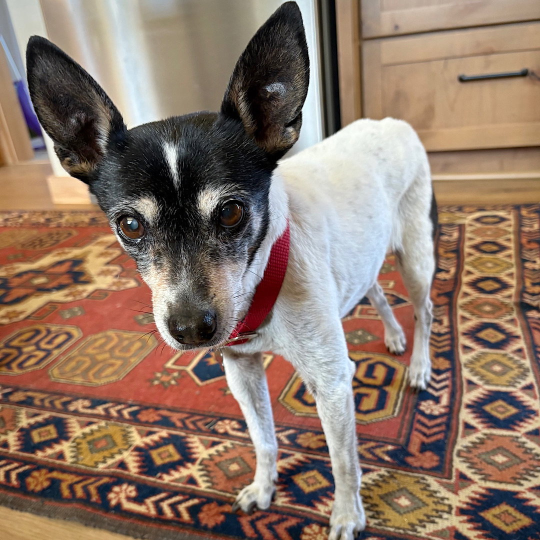 Sybil (OR), photo 2