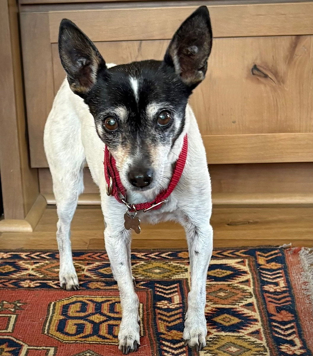 Sybil (OR), photo 4