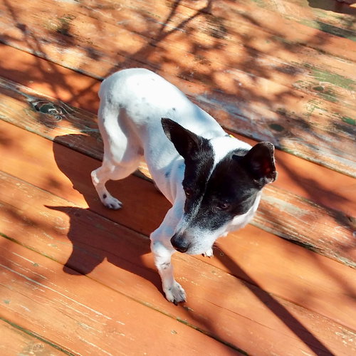 Lucy (MI)