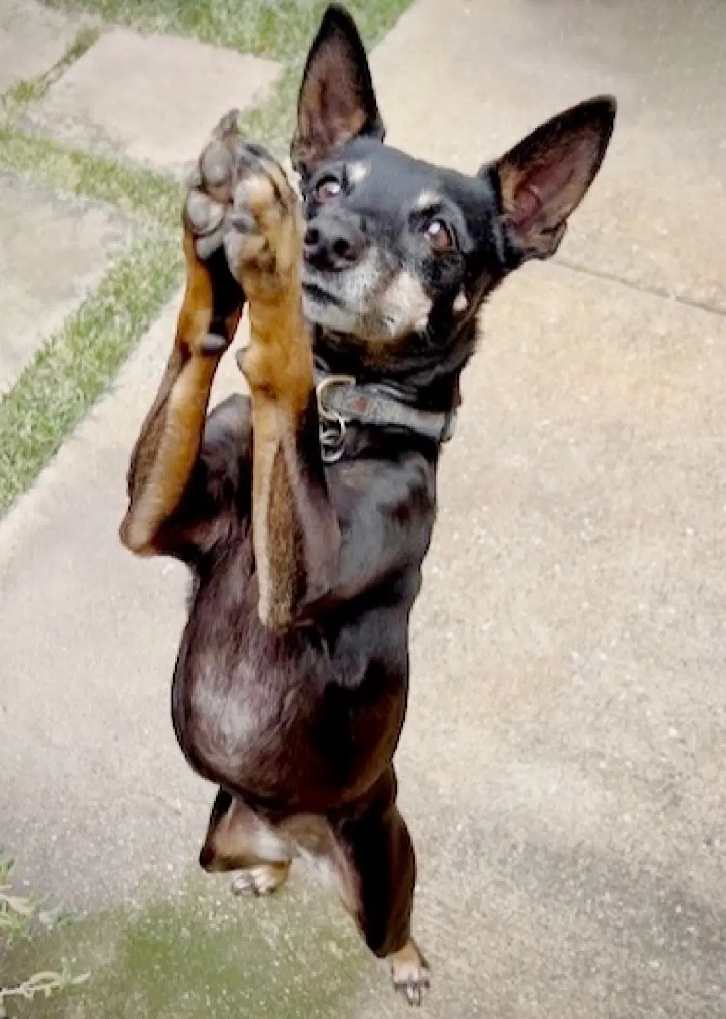 Lola Ca image 3