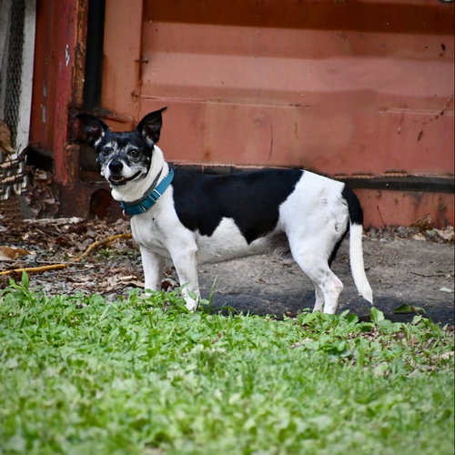 Max photo 2