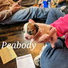 Peabody (now Tucker)