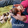 Presley (now Roscoe)