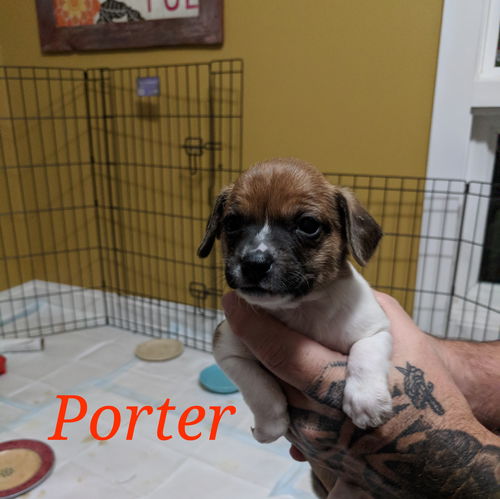 Porter (now Theodore)