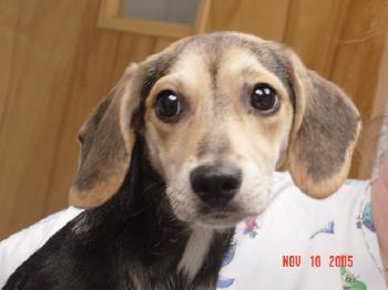 Lilly