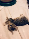 Lloyd (now Floyd)