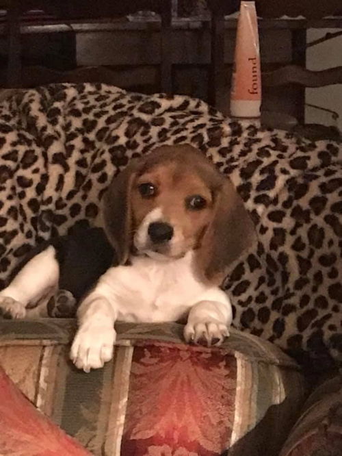 Lucy