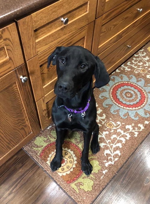 Maggie