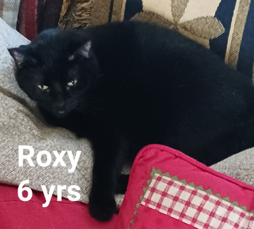 Roxy