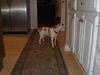 Lucy