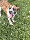 Amy