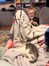 Pugsley (The Addams Family Litter)