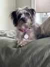 Frannie