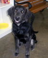 Luke(now Lovie)