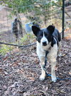 Olivia - Photo 3