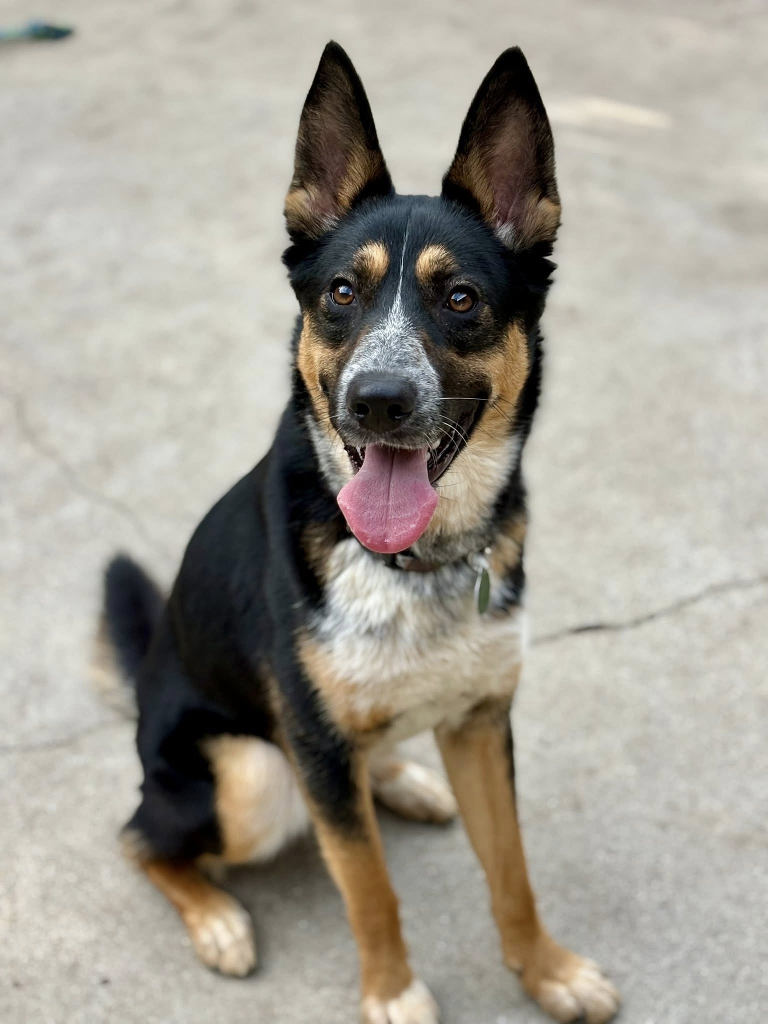 Max Image