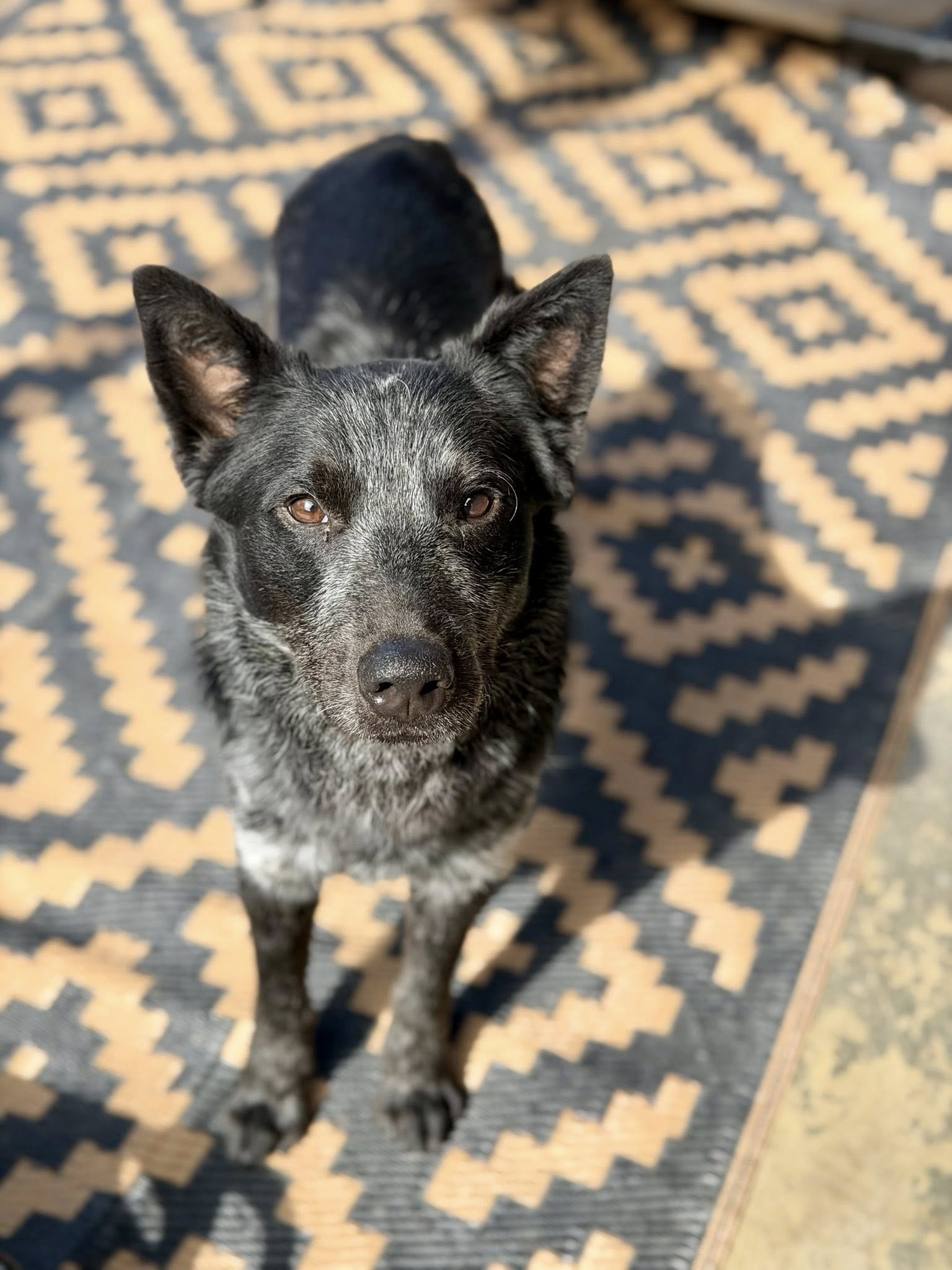 Benito