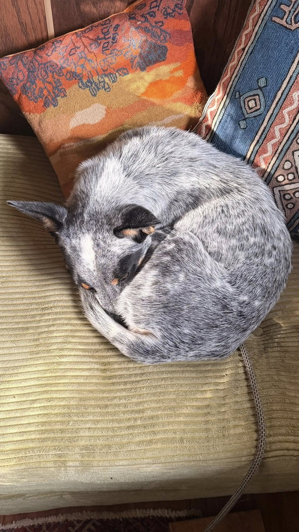 Zen