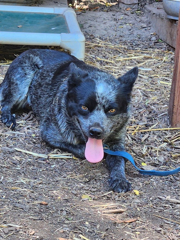 Gretta