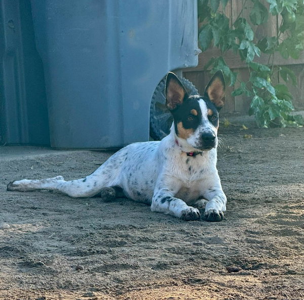 Luna