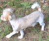 Joy Sweet Girl