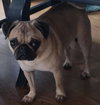 Chloe