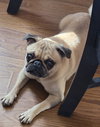 Chloe