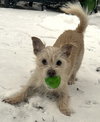 KIMBO - Photo 3