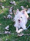 KIMBO - Photo 1