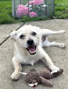 KIMBO - Photo 4