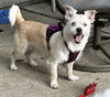 KIMBO - Photo 5
