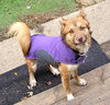 MAX - Photo 1